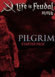 Life is Feudal: MMO. Pilgrim Starter Pack DLC (PC) - Steam - Digital Code