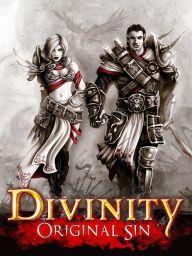 Divinity Original Sin (EU) (PC) - Steam - Digital Code