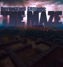 Outrageous Grounds: The Maze (PC) - Steam - Digital Code