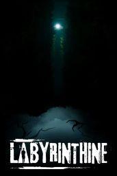 Labyrinthine (EU) (PC) - Steam - Digital Code