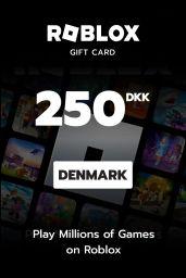 Roblox 250 DKK Gift Card (DK) - Digital Code