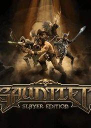 Gauntlet Slayer Edition (PC) - Steam - Digital Code