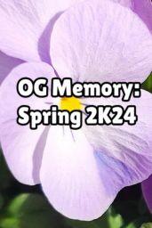OG Memory: Spring 2K24 (PC) - Steam - Digital Code
