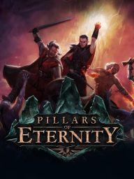 Pillars of Eternity Hero Edition (EU) (PC / Mac / Linux) - Steam - Digital Code