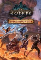 Pillars of Eternity II: Deadfire - Seeker, Slayer, Survivor DLC (PC / Mac / Linux) - Steam - Digital Code