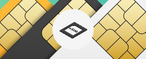 eSIMS vs Traditional SIMS Cover Image