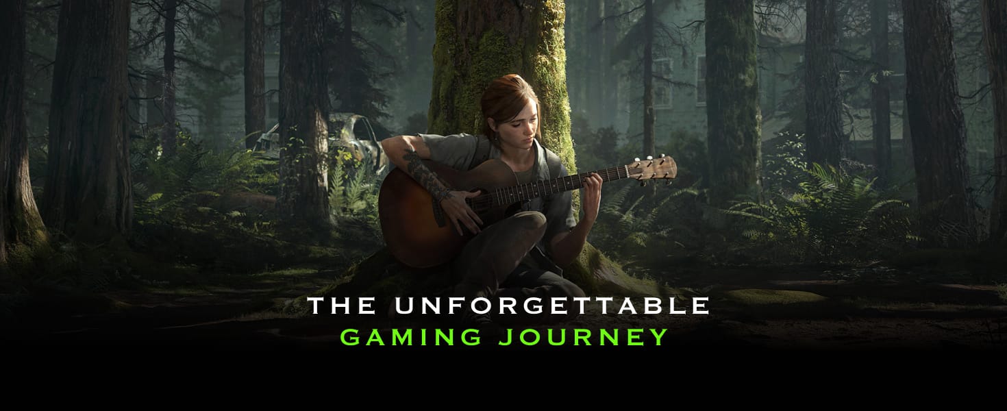 Game Over (For Now): The Unforgettable Gaming Journey Cover Image