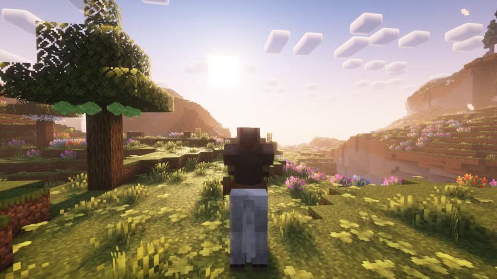 Minecraft Latest Update