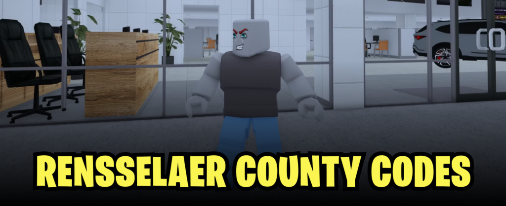 Rensselaer County codes banner