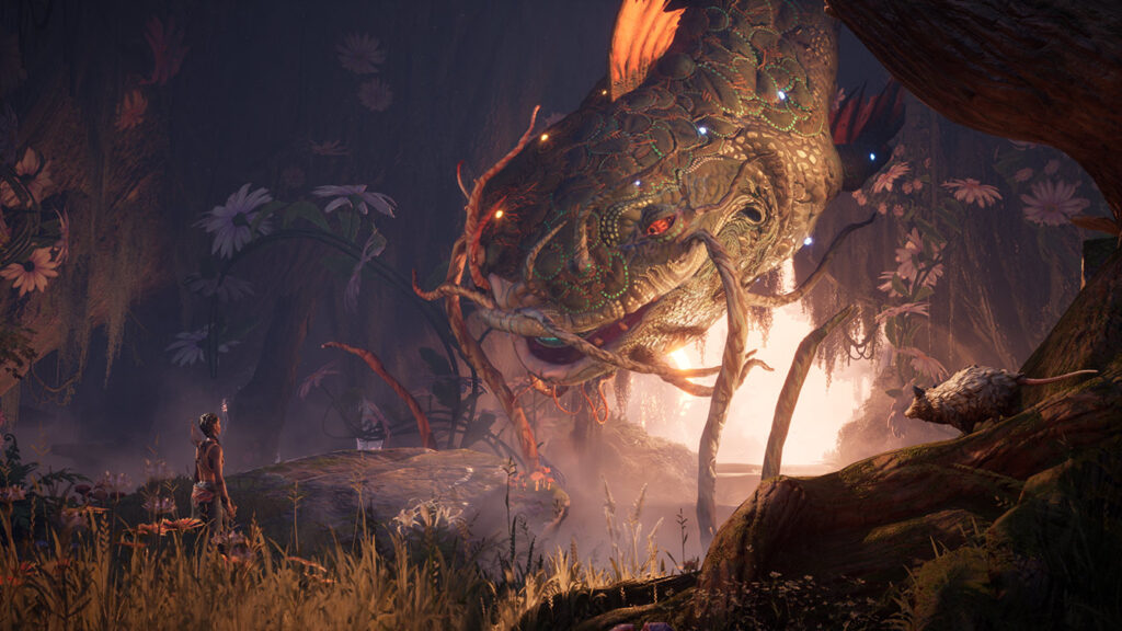 South of Midnight Weaver's Edition Release