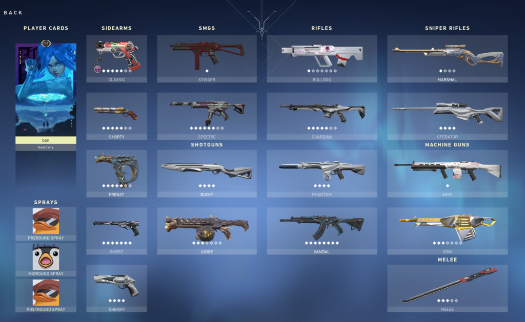 Valorant Accounts Free Items