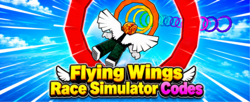 Flying Wings Race Simulator codes