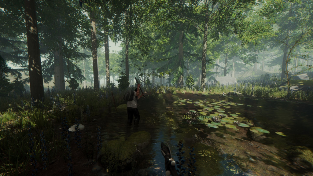 The Forest game 