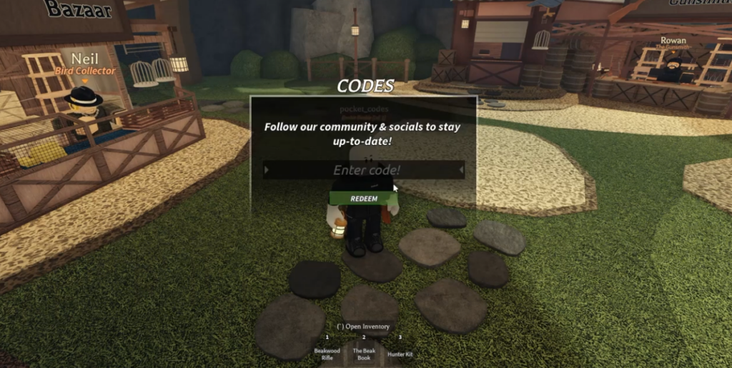 how to redeem beaks codes 