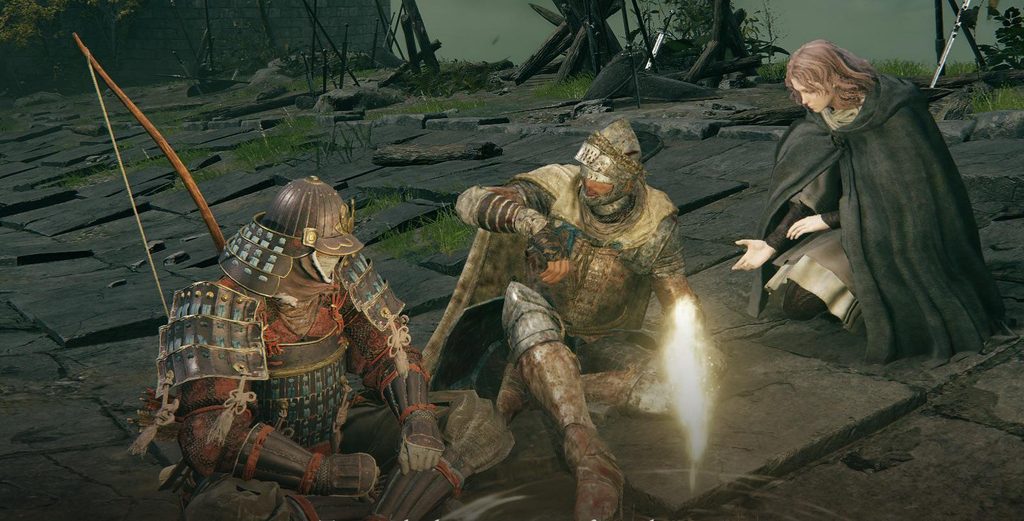 Elden Ring crossplatform Multiplayer co op 