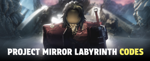 Project Mirror Labyrinth codes