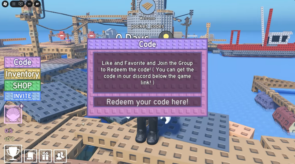 Survive on a Raft codes